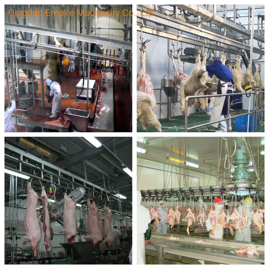 Pig Slaughter Transfer Line Hook Abattoir Processing Shackle Accessories Slaughtering Equipment