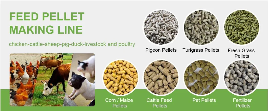 China Factory Poultry Livestock Animal Chicken Cattle Feed Mill Plant Supply Feed Pellet Processing Plant Grain Grass Pellet Making Equipment for Commercial