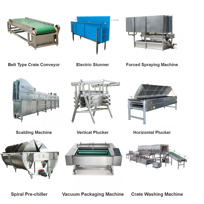 Basic Customizatio 380V Box Type Poultry Plucking Machine Abattoir Slaughter Equipment Price for Chicken Feather Removal Machine for Slaughterhouse Meat Machine