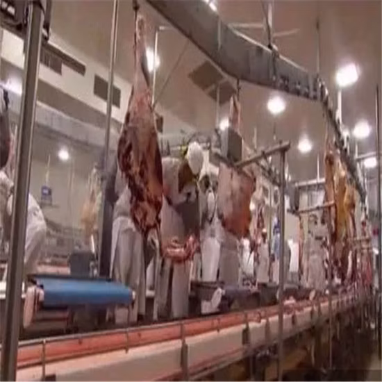 L'équipement d'abattage/cochon de bétail le plus populaire