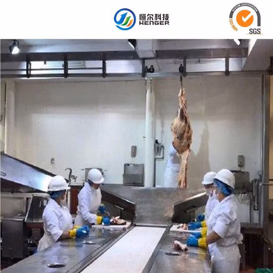 Équipement d'abattage Henger Équipement d'abattoir de bovins pour porcs et moutons