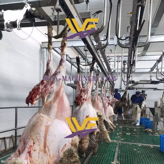Bovins moutons porc porc abattage/machine/équipement d'abattage