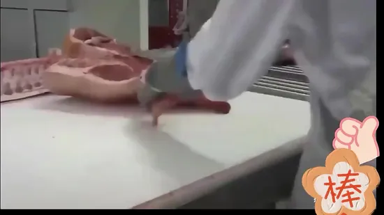 Équipement d'abattage de porcs, de bovins et de moutons/un grand nombre d'abattages