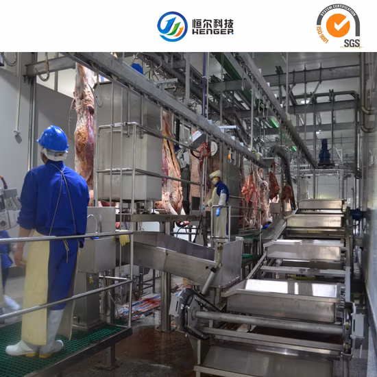 Ligne de traitement d'équipement d'abattage d'abattoir pour les bovins, les porcs et les moutons
