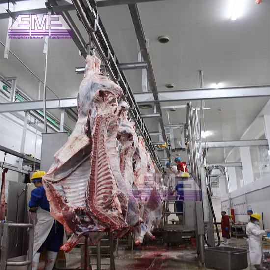 Abattoir traitant la machine d'abattage de vaches rituel de bétail boîte de mise à mort Halal équipement d'abattoir