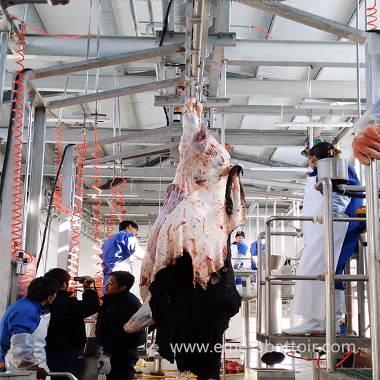 Qh300h Hachoir à viande électrique d'abattage Trancheuse Ligne de coupe de traitement Scie à volaille de ferme Poulet Poisson Bovin Machine d'abattage de porcs Équipement d'abattoir