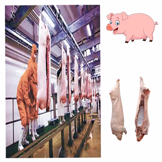 Équipement vertical de nettoyage de carcasse de porc de machine d'abattage de porc